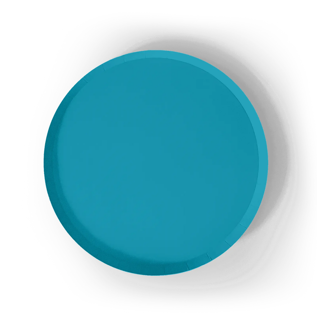 Aqua Blue Paper Party Plate (8pcs)