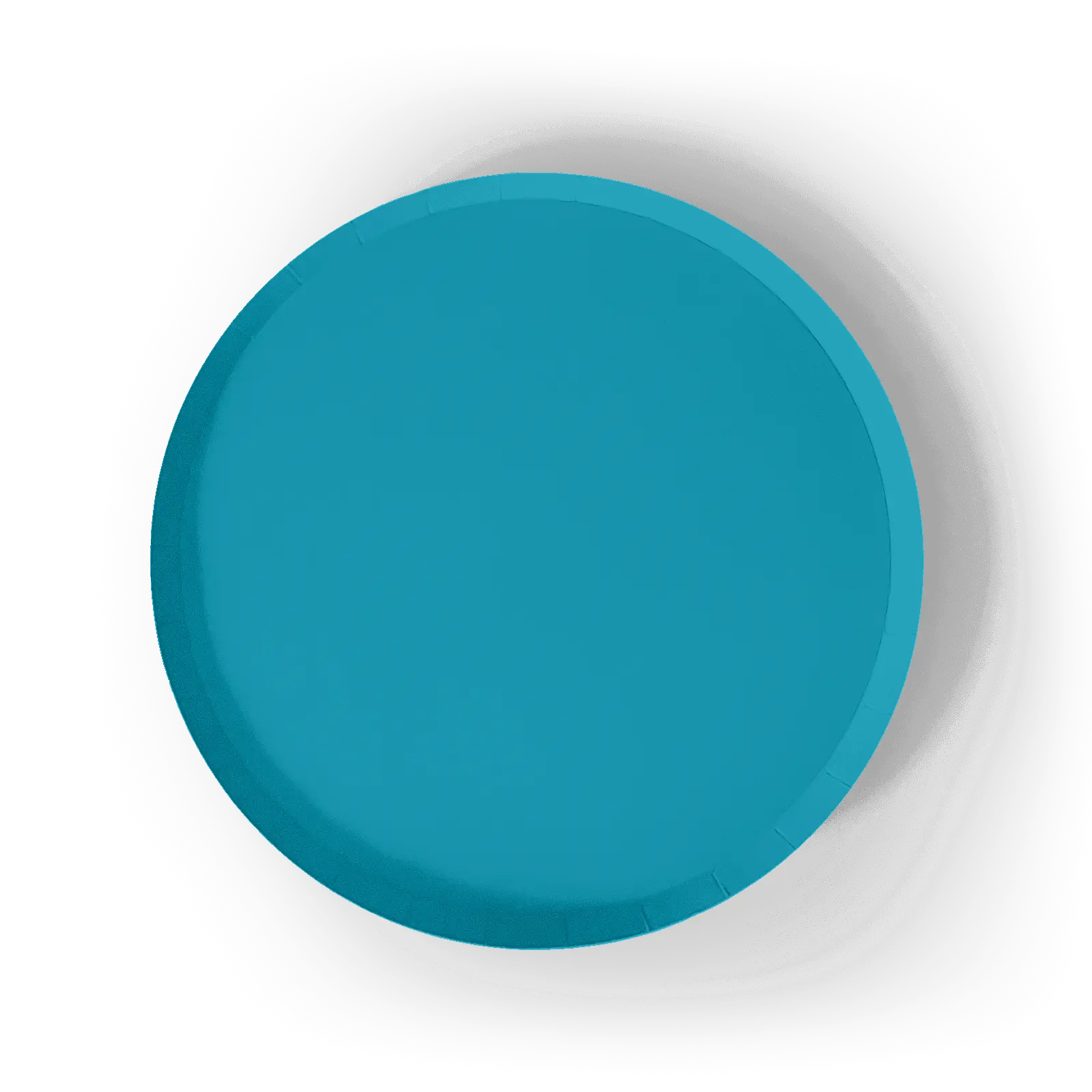 Aqua Blue Paper Party Plate (8pcs)