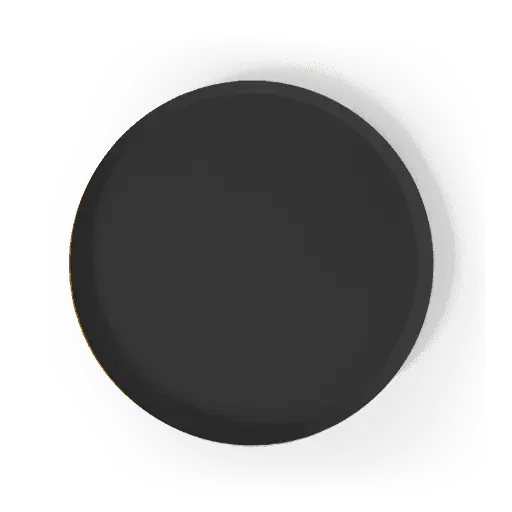 Black Paper Party Plate (8pcs)
