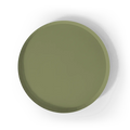 Green Paper Party Plate (12pcs)