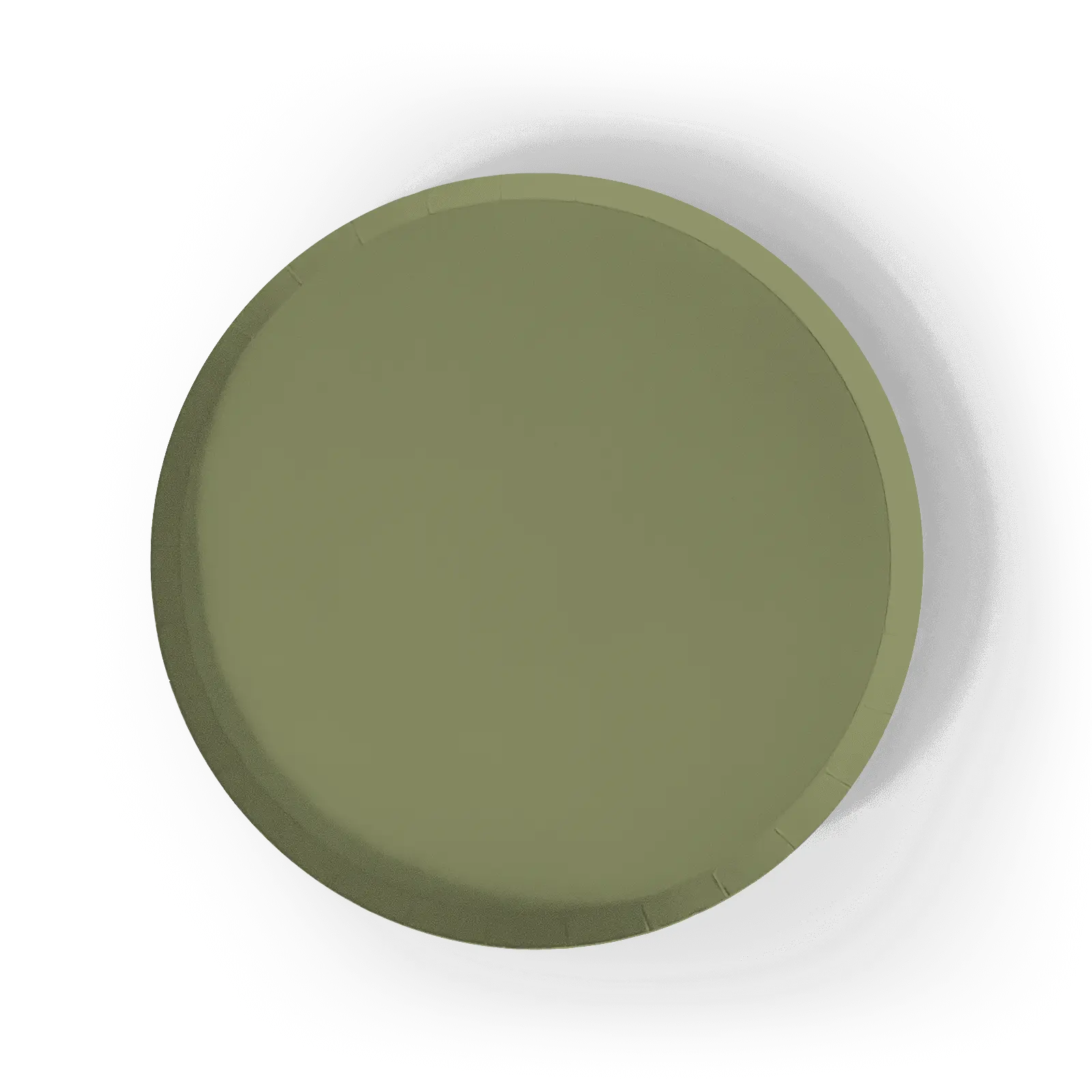 Green Paper Party Plate (12pcs)