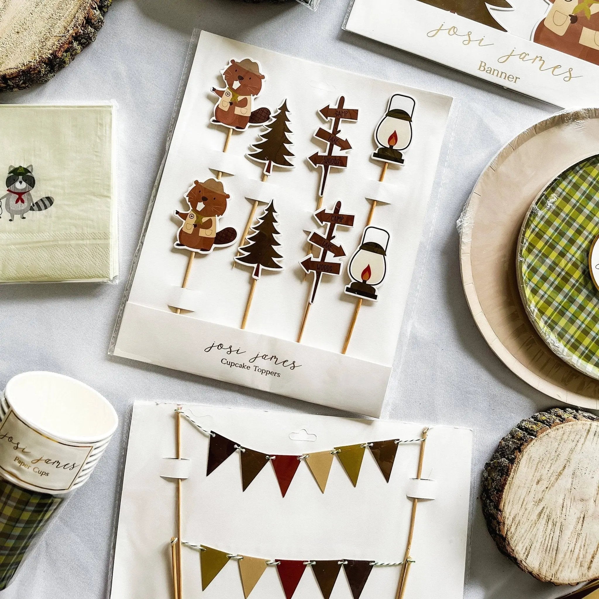 Scout Cake Banner